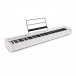 Korg D1 Digital Stage Piano, White