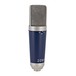 SubZero Condenser Microphone with Switchable Polar Patterns