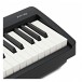 Roland FP 10 Digital Piano with Deluxe Bag
