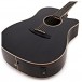 Tanglewood TW5EBS Winterleaf Electro Acoustic, Shadow Black
