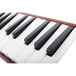 Hohner C94324 Student 32 Melodica, Red