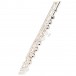 Roy Benson FL402E Flute